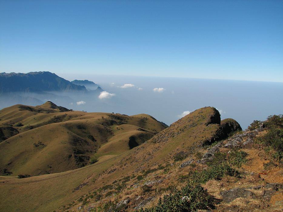 Mukurthi National Park